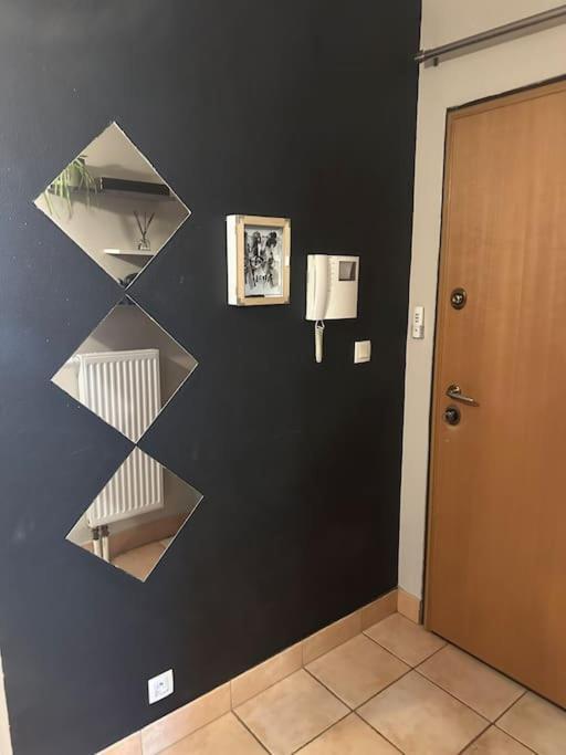 Un Havre De Verdure En Apartment Colmar